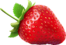 Fresa